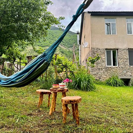 Barbara'S Eco-Cozy Guesthouse メスティア エクステリア 写真