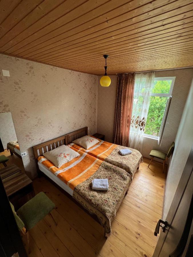 Barbara'S Eco-Cozy Guesthouse メスティア エクステリア 写真