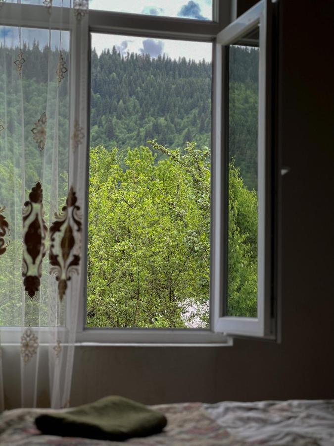 Barbara'S Eco-Cozy Guesthouse メスティア エクステリア 写真