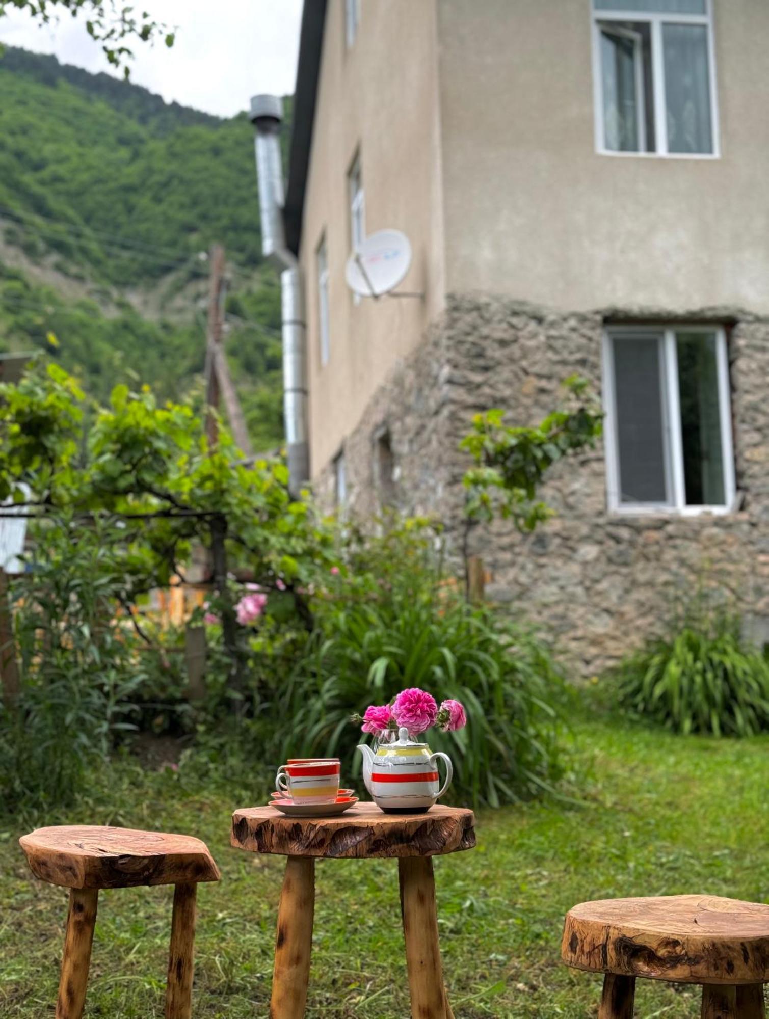 Barbara'S Eco-Cozy Guesthouse メスティア エクステリア 写真