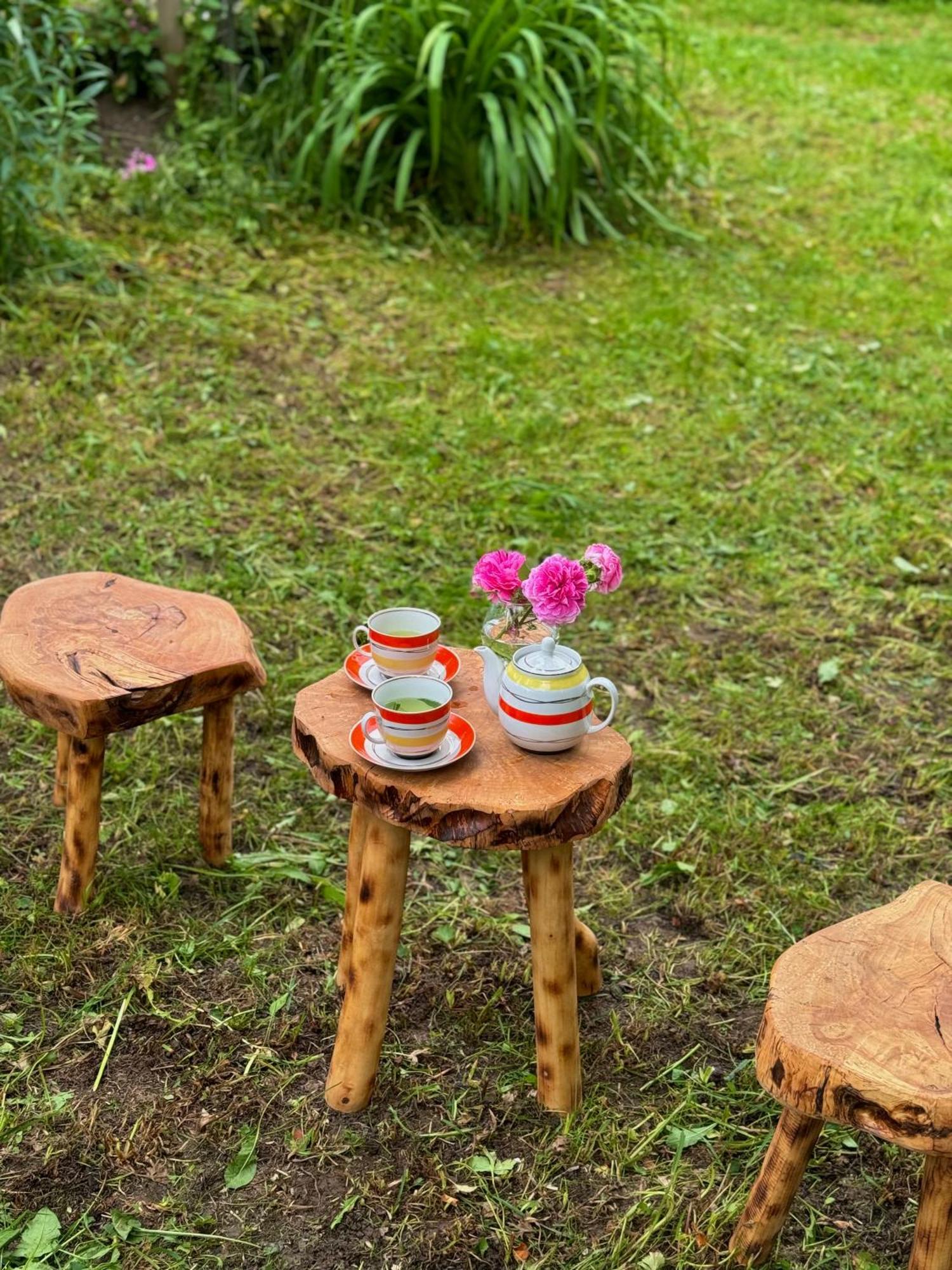 Barbara'S Eco-Cozy Guesthouse メスティア エクステリア 写真