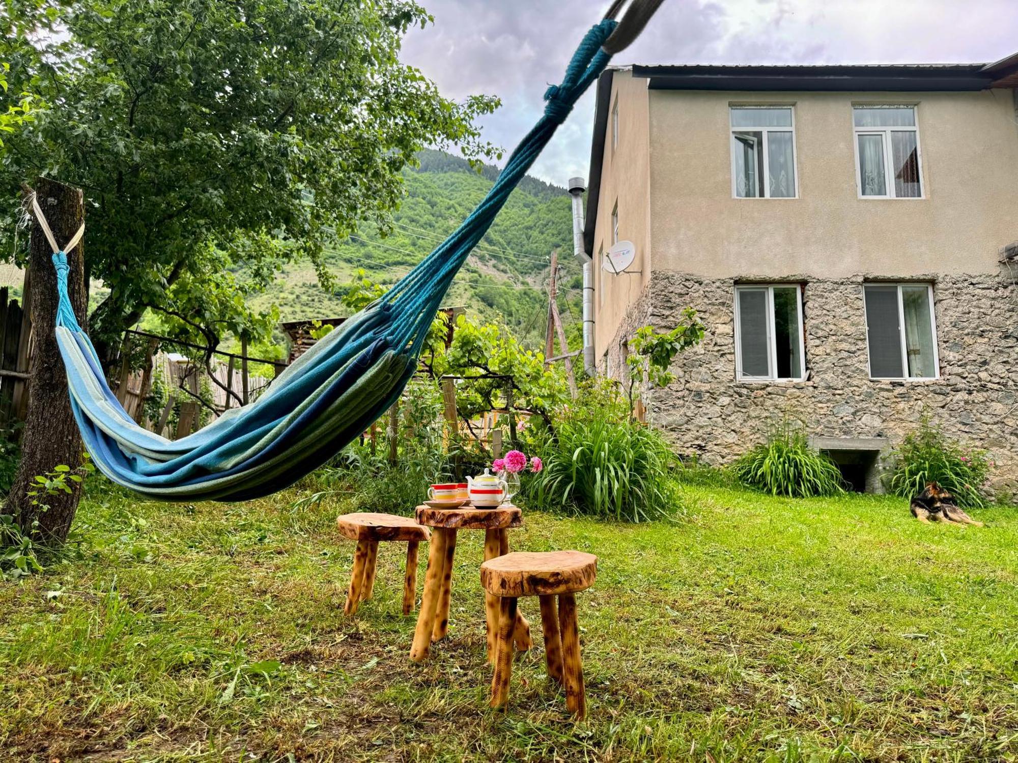 Barbara'S Eco-Cozy Guesthouse メスティア エクステリア 写真
